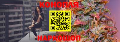 прущие грибы Лесосибирск