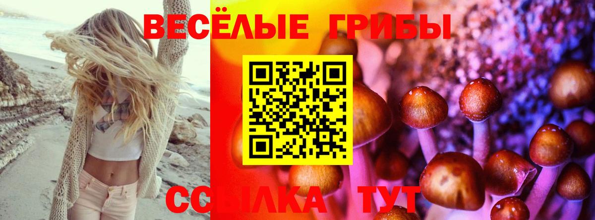 Галлюциногенные грибы Magic Shrooms  Вход с VPN  Вятские Поляны 