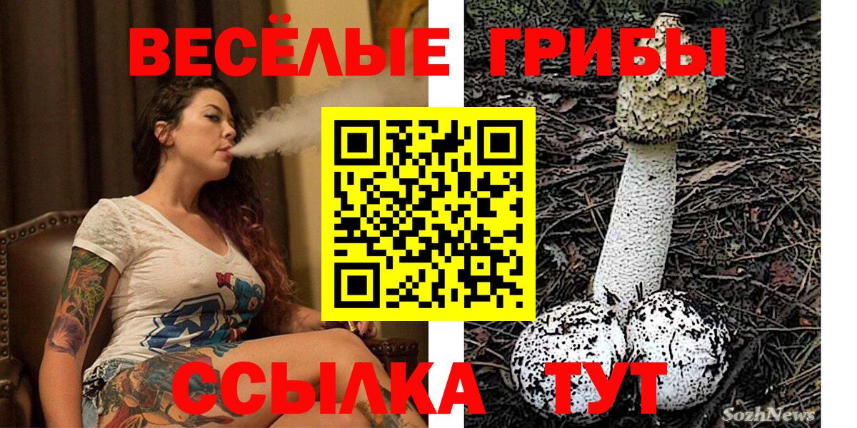 Псилоцибиновые грибы прущие грибы Вятские Поляны
